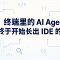 终端里的 AI Agent，终于开始长出 IDE 的眼睛