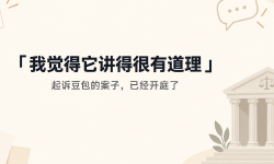 Featured image of post 「我觉得它讲得很有道理」：起诉豆包的案子，已经开庭了