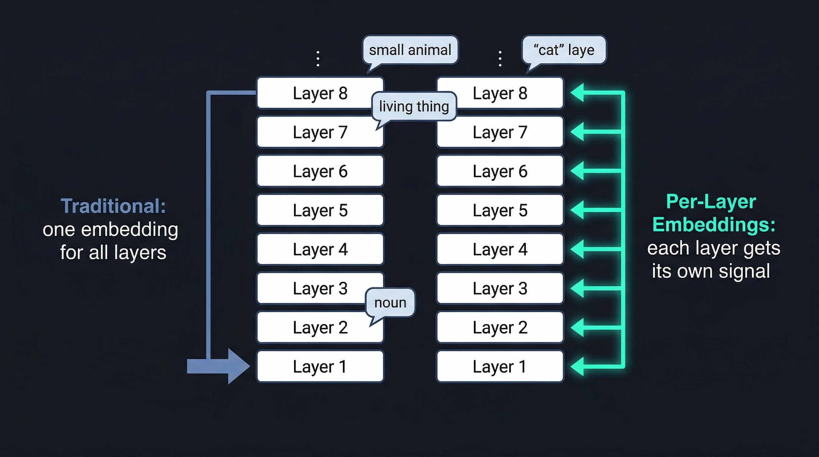 Per-Layer Embeddings对比:传统方式只有一个入口嵌入,PLE 为每一层单独提供信号,token 在不同层的"意义"各不相同