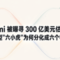 Kimi 被曝寻 300 亿美元估值：大模型"六小虎"为何分化成六个物种